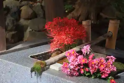 高司神社〜むすびの神の鎮まる社〜の手水舎
