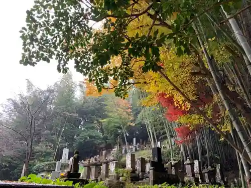 光顕寺のお墓