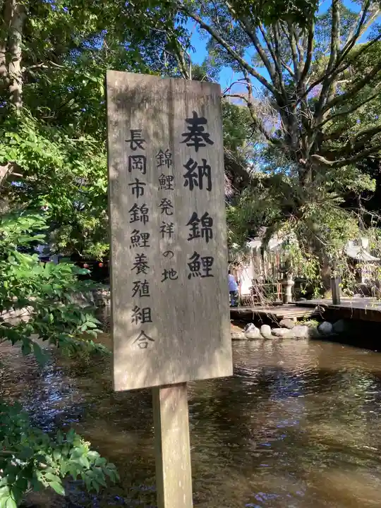 平塚八幡宮のその他建物