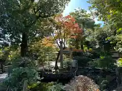 神光院(京都府)