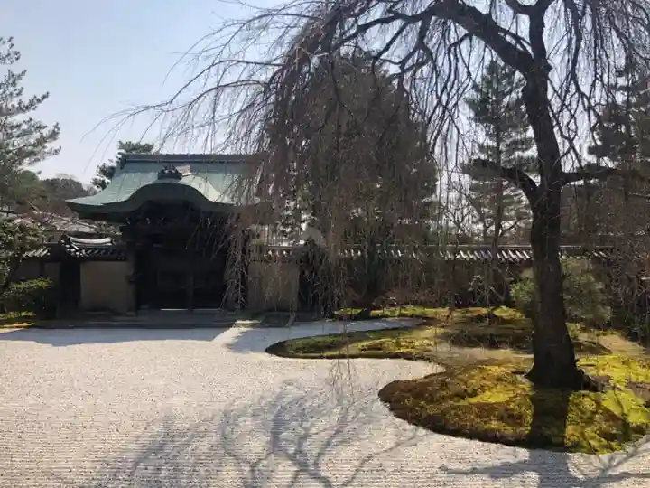 高台寺(高台寿聖禅寺・高臺寺)(京都府)