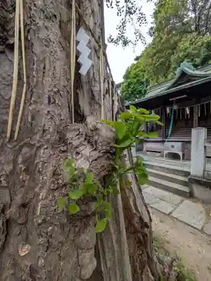 志茂熊野神社(東京都)