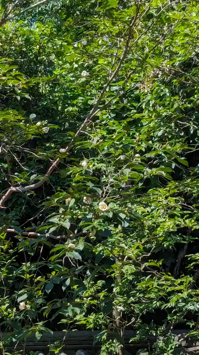 東林院(京都府)