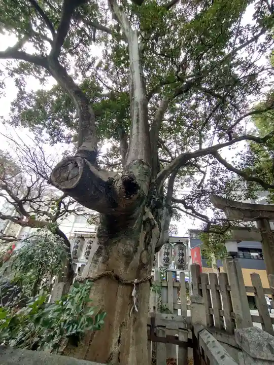 満足稲荷神社(京都府)