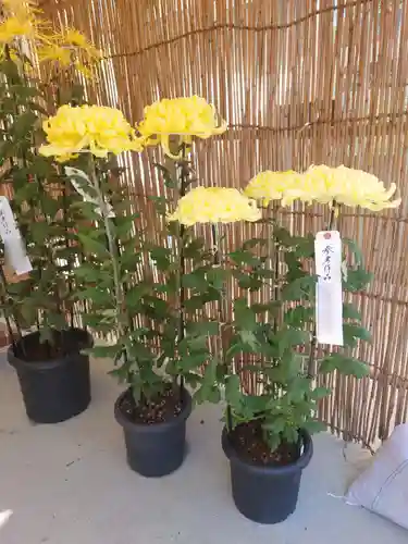 呑龍上人秩父教会(埼玉県)