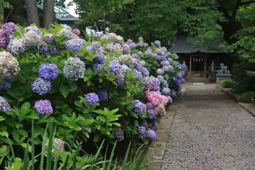 開成山大神宮の末社