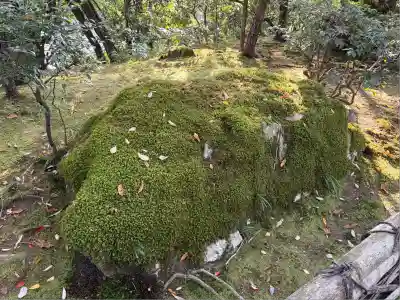 龍安寺(京都府)