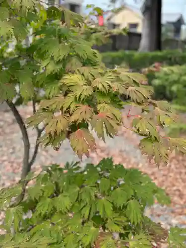 武水別神社(長野県)
