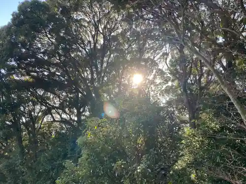 大分八幡宮(福岡県)