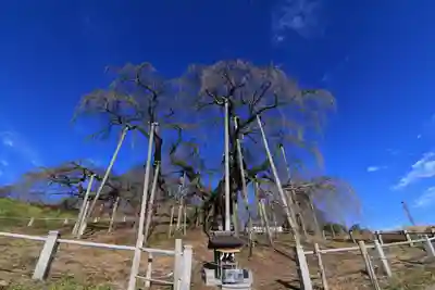 瀧桜神明宮の本殿・本堂