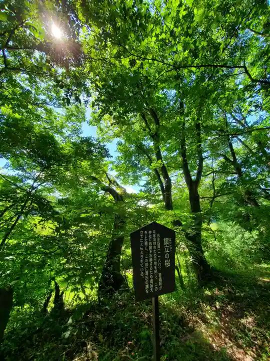 白河神社の自然