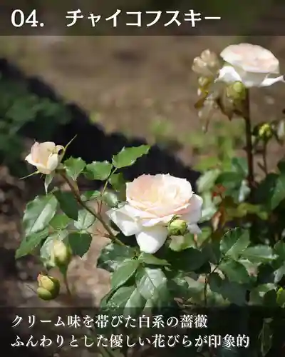 宝光寺(北海道)