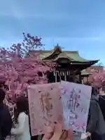 桜神宮の御朱印