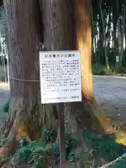 大神神社の自然