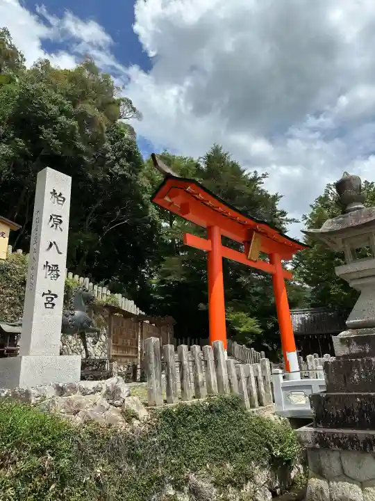 柏原八幡宮の鳥居