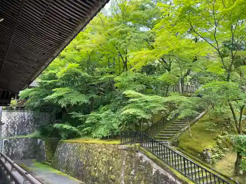 禅林寺（永観堂）(京都府)