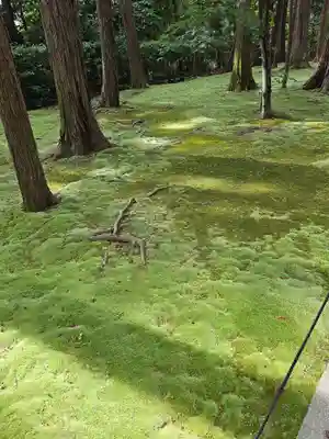 唐招提寺(奈良県)