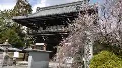 梅宮大社の山門