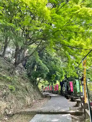 唐澤山神社(栃木県)