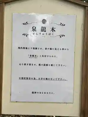 泉神社(茨城県)