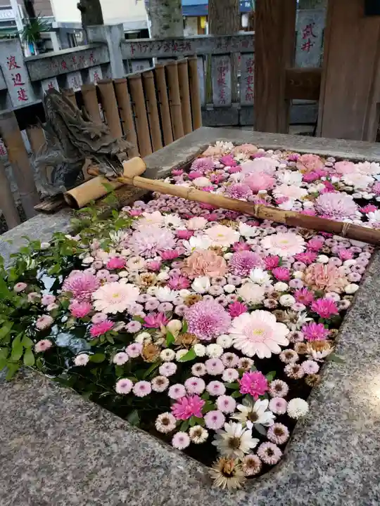 高円寺氷川神社(東京都)
