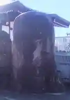 天桂寺(東京都)