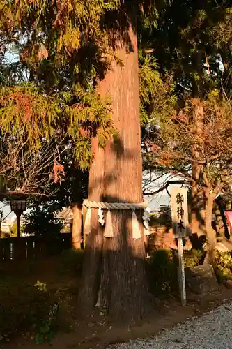 福良天満宮(大分県)