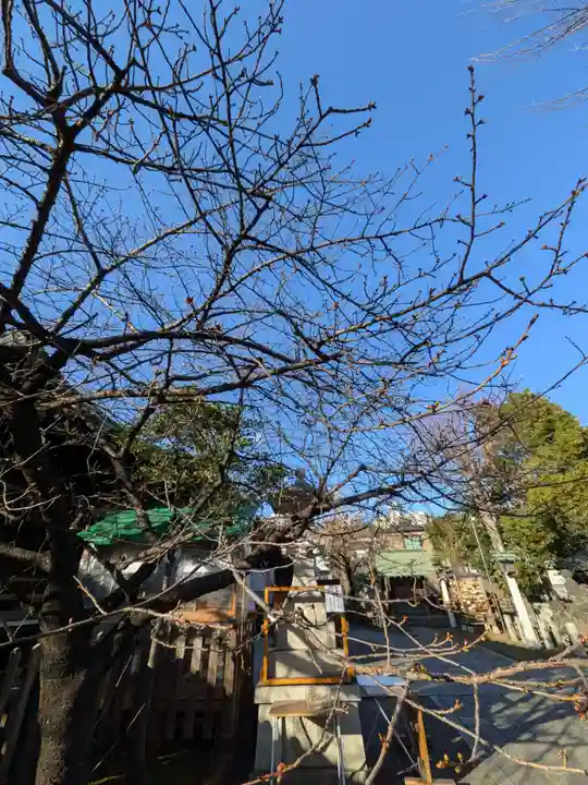 新宿下落合氷川神社(東京都)