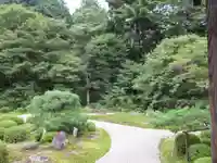 曼殊院門跡の庭園