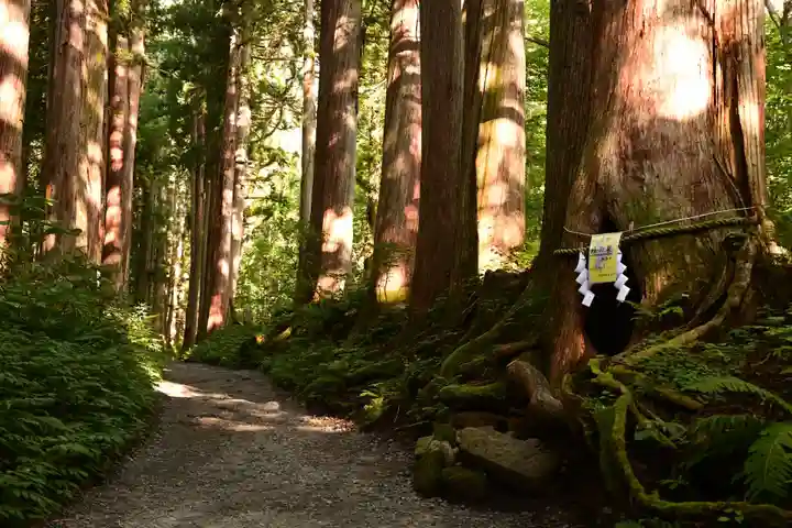 戸隠神社奥社(長野県)