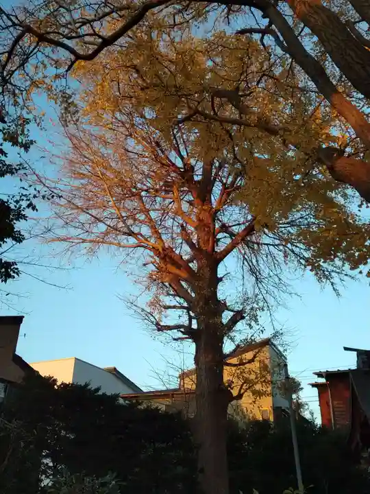 由比若宮(元鶴岡八幡宮)(神奈川県)