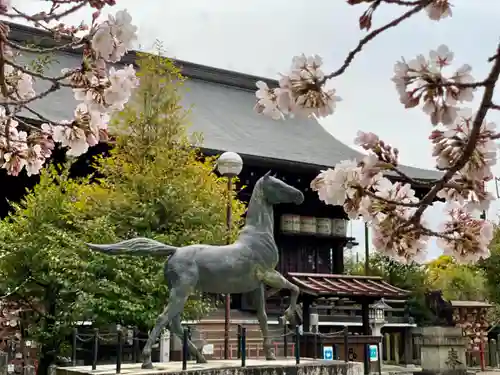 京都乃木神社の狛犬