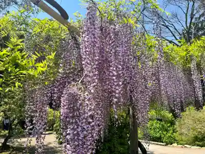 歌泉堂（春日大社神苑萬葉植物園内鎮座）(奈良県)