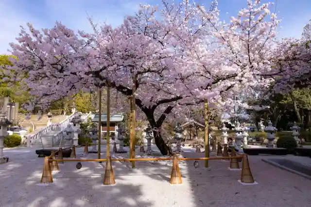 伊和志津神社の自然