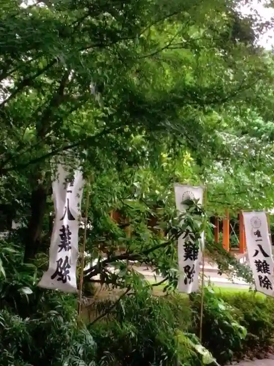 阿佐ヶ谷神明宮(東京都)