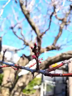 七重浜海津見神社(北海道)