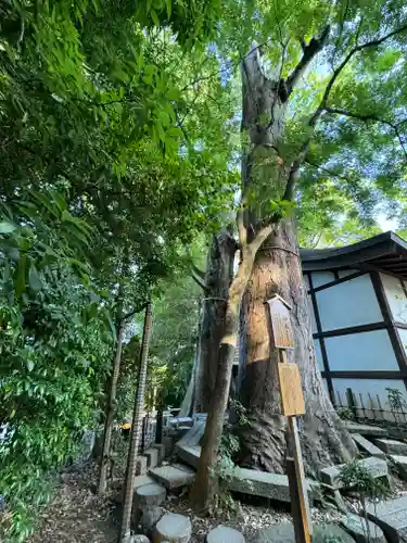 川越氷川神社(埼玉県)