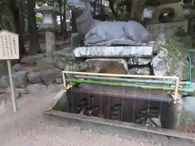 春日大社の手水舎