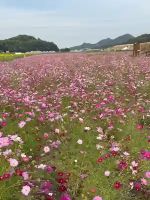 道通神社(岡山県)