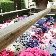 豊景神社の手水