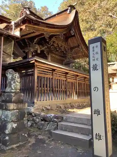 手力雄神社(岐阜県)