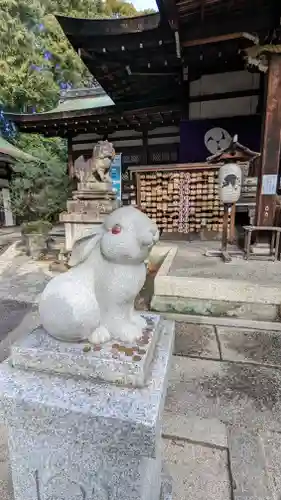 岡崎神社の狛犬