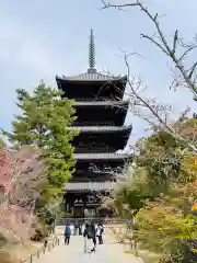 仁和寺(京都府)