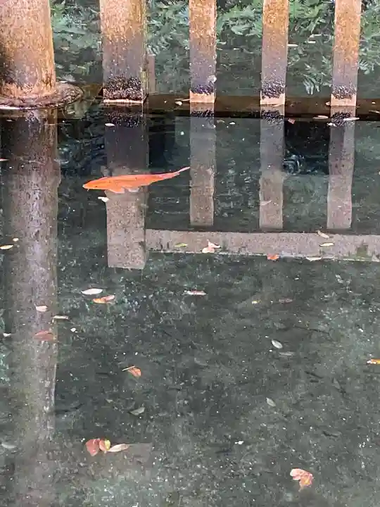 鹿島神宮の庭園