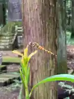 大宮温泉神社の動物