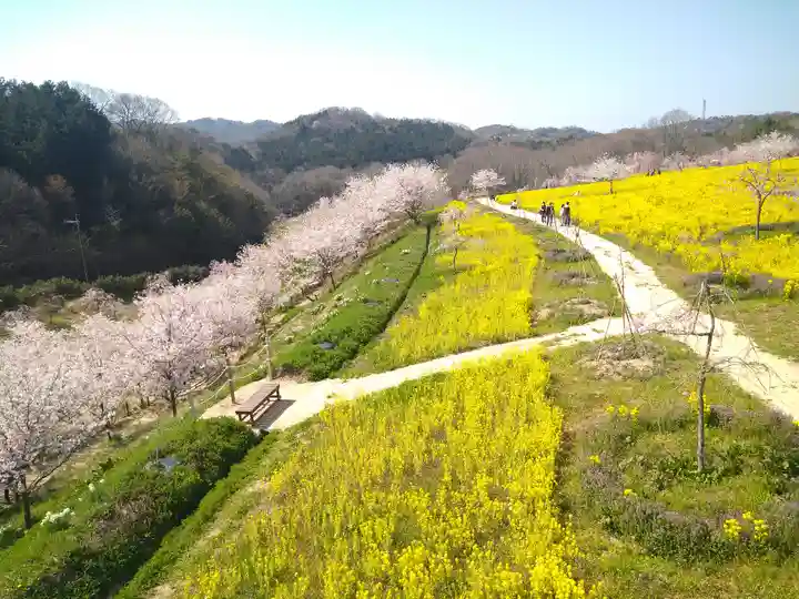 巳徳神社の周辺