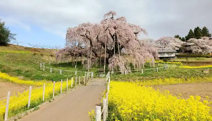 瀧桜神明宮の自然