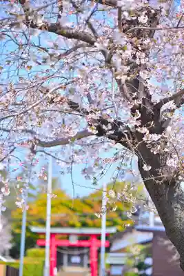 川和八幡神社(神奈川県)