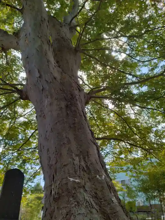 鹿島御子神社(福島県)