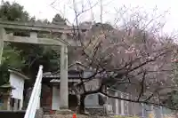 岐神社(島根県)